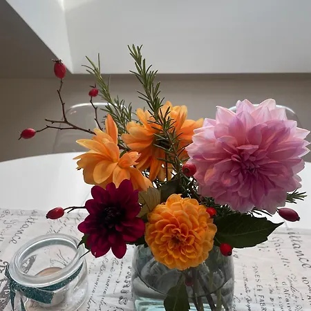 Kerschbaumer.apartments Apartamento Waidhofen an der Ybbs